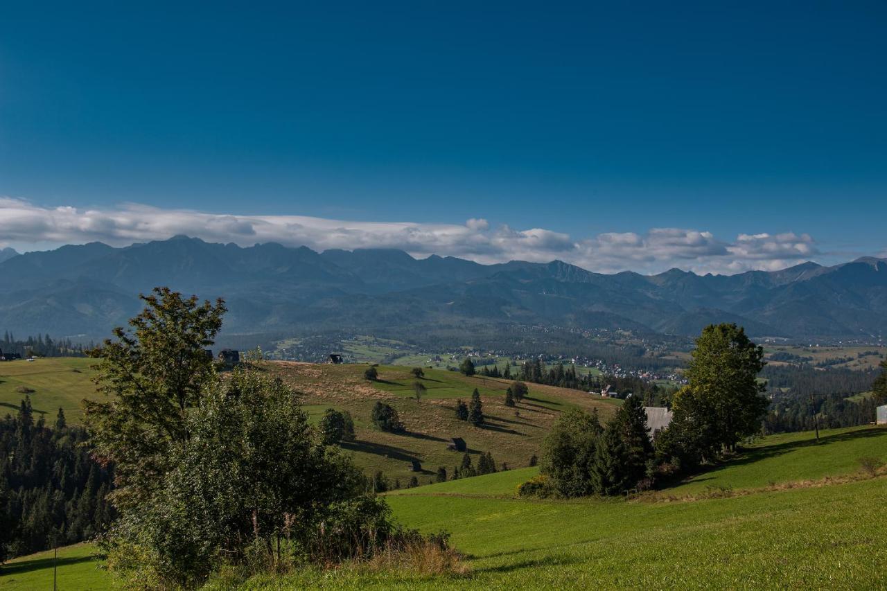 Domki U Skowyrow Gliczarów Esterno foto